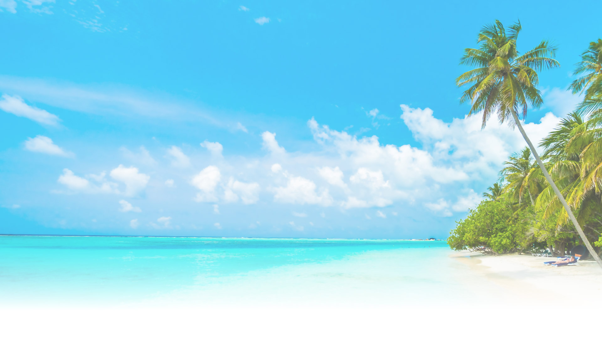 Background Roaming Image